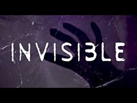 Thumbnail for the Citizen Soldier - Invisible link, provided by host site