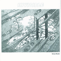 Thumbnail for the Invisible - Invisible link, provided by host site
