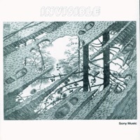 Thumbnail for the Invisible - Invisible link, provided by host site