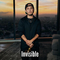 Thumbnail for the Gremlin - Invisible link, provided by host site
