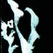 Thumbnail for the Steve Swell - Invisible Cities link, provided by host site