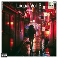 Thumbnail for the Loquai - Invisible Form link, provided by host site