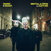Thumbnail for the Temper2 - Irrottaa ja Tippuu link, provided by host site