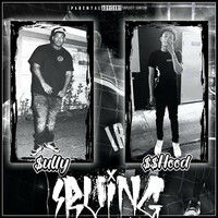Thumbnail for the Sully - Irving link, provided by host site