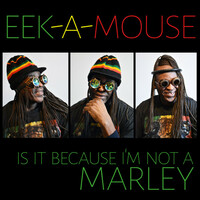 Thumbnail for the Eek-A-Mouse - Is It Because I'm Not a Marley link, provided by host site