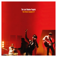 Thumbnail for the The Last Shadow Puppets - Is This What You Wanted link, provided by host site