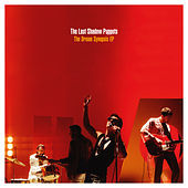 Thumbnail for the The Last Shadow Puppets - Is This What You Wanted link, provided by host site