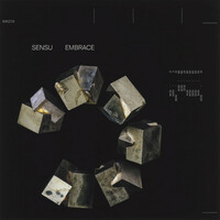 Thumbnail for the Sensu - Issues link, provided by host site