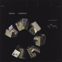 Thumbnail for the Sensu - Issues link, provided by host site