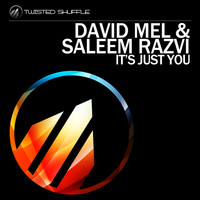 Thumbnail for the David Mel - It's Just You link, provided by host site