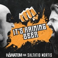 Thumbnail for the Hämatom - It's raining beer link, provided by host site