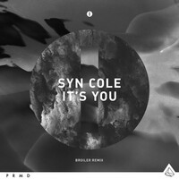 Thumbnail for the Syn Cole - It's You (Broiler Remix Radio Edit) link, provided by host site