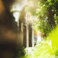 Thumbnail for the Keith Kenniff - It Shall Appear link, provided by host site