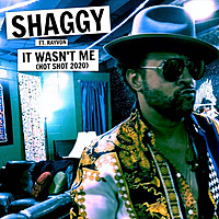 Thumbnail for the Shaggy - It Wasn't Me (Hot Shot 2020) link, provided by host site