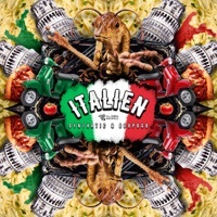 Thumbnail for the Synthatic - Italien link, provided by host site