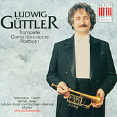 Thumbnail for the Roland Straumer - IV. Adagio link, provided by host site