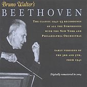 Thumbnail for the Bruno Walter - IV. Allegro link, provided by host site