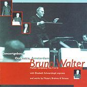 Thumbnail for the Bruno Walter - IV. Allegro assai link, provided by host site