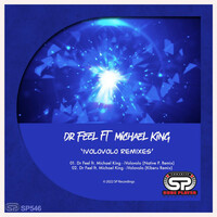 Thumbnail for the Dr Feel - Ivolovolo Remixes link, provided by host site