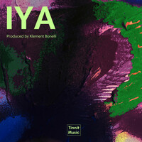 Thumbnail for the Klement Bonelli - IYA link, provided by host site