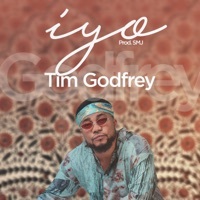 Image of Tim Godfrey linking to their artist page due to link from them being at the top of the main table on this page