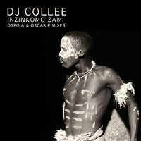 Thumbnail for the DJ Collee - Izinkomo Zami link, provided by host site