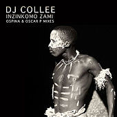Thumbnail for the DJ Collee - Izinkomo Zami link, provided by host site