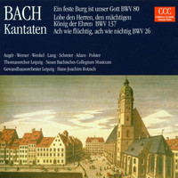 Thumbnail for the Regina Werner - J.S. Bach: Ach wie flüchtig, ach wie nichtig BWV 26/Kantate am Sonntag nach Trinitatis/Cantata for the 24th Sunday after Sunday/5. Recitativo/Die schönste Herrlickeit und Pracht link, provided by host site