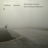 Thumbnail for the Gaechinger Cantorey - J. S. Bach: Cantatas link, provided by host site