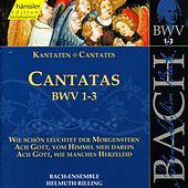 Thumbnail for the Bach-Collegium Stuttgart - J.S. Bach - Cantatas BWV 1-3 link, provided by host site