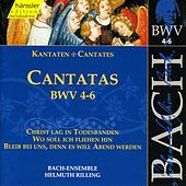 Thumbnail for the Bach-Collegium Stuttgart - J.S. Bach - Cantatas BWV 4-6 link, provided by host site