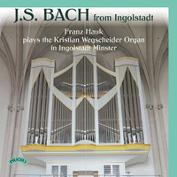 Thumbnail for the Johann Sebastian Bach - J.S. Bach from Ingolstadt link, provided by host site