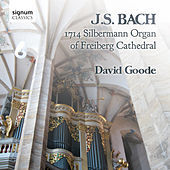 Thumbnail for the David Goode - J.S. Bach: The Organ of Freiberg Cathedral, Germany link, provided by host site