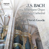 Thumbnail for the David Goode - J.S. Bach: The Organ of Freiberg Cathedral, Germany link, provided by host site