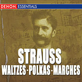 Thumbnail for the Cesare Cantieri - J. Strauss I: Radetzky-Marsch, Op. 228 link, provided by host site