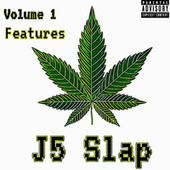 Thumbnail for the J5 Slap - J5 link, provided by host site