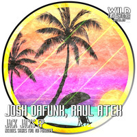 Thumbnail for the Josh DaFunk - Jack Jacks link, provided by host site