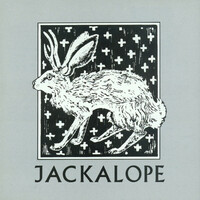 Thumbnail for the Jackalope - Jackalope link, provided by host site