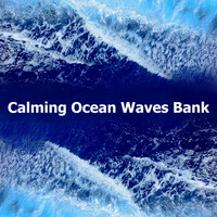 Image of Ocean Waves linking to their artist page due to link from them being at the top of the main table on this page