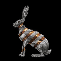 Thumbnail for the San Fermin - Jackrabbit link, provided by host site