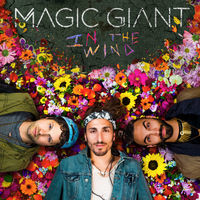 Image of MAGIC GIANT linking to their artist page due to link from them being at the top of the main table on this page