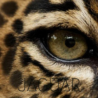 Thumbnail for the Jetsam - Jaguar link, provided by host site