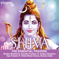Thumbnail for the Sanjeev Abhyankar - Jai Shankar Shiv Shankar - Bhajan link, provided by host site