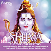 Thumbnail for the Sanjeev Abhyankar - Jai Shankar Shiv Shankar - Bhajan link, provided by host site