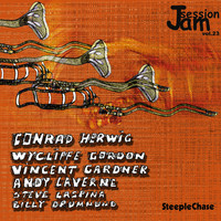 Thumbnail for the Conrad Herwig - Jam Session Vol. 23 link, provided by host site