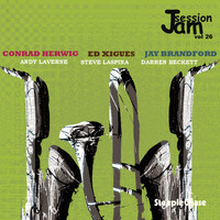 Thumbnail for the Conrad Herwig - Jam Session Vol. 26 link, provided by host site