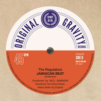 Thumbnail for the the Regulators - Jamaican Beat link, provided by host site