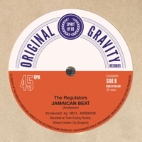 Thumbnail for the the Regulators - Jamaican Beat link, provided by host site