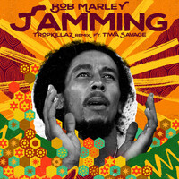 Thumbnail for the Bob Marley - Jamming (Tropkillaz Remix) link, provided by host site