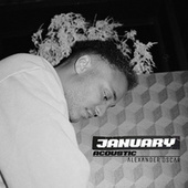 Thumbnail for the Alexander Oscar - January (Acoustic) link, provided by host site